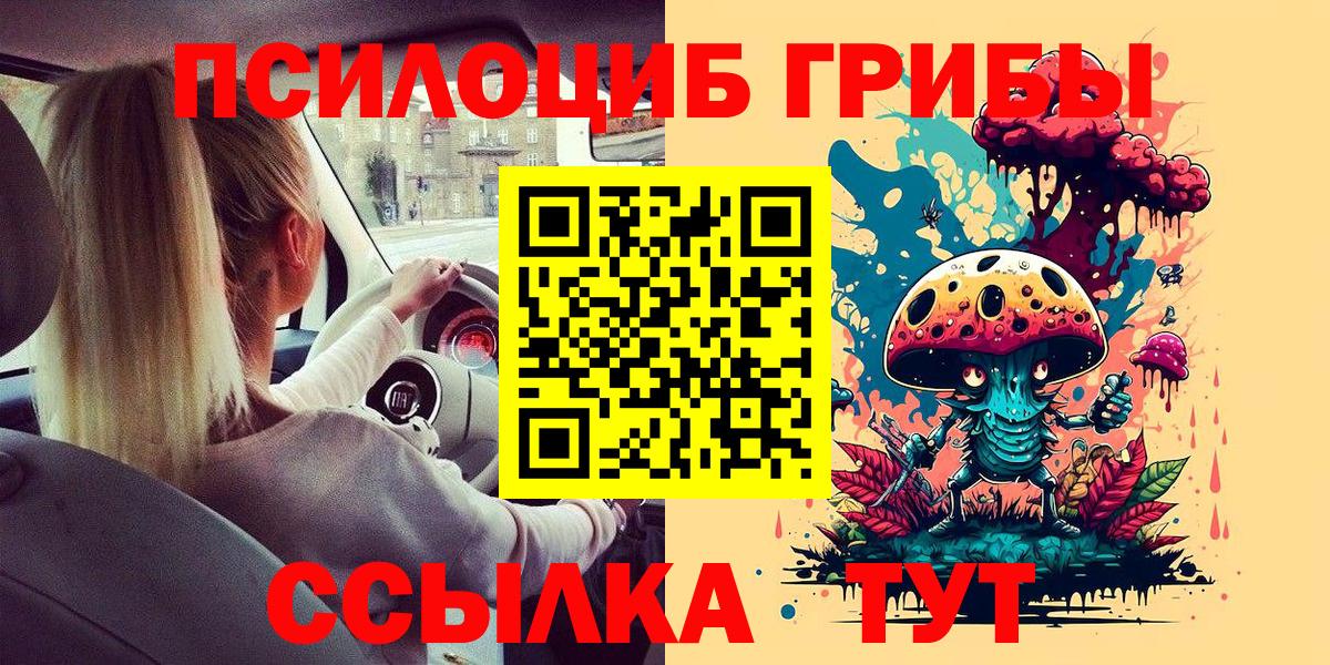 Псилоцибиновые грибы Cubensis  Псилоцибиновые грибы MAGIC MUSHROOMS  Кунгур  Вход с VPN 